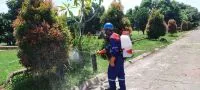 Service 1